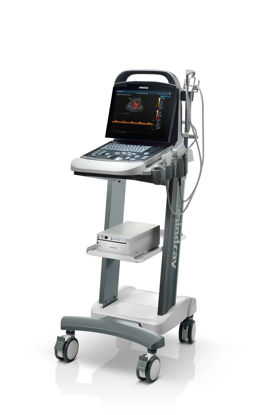 Mindray DP-30Vet Портативный черно-белый УЗИ аппарат — фото 2